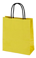 Cotton Handle Paper Carrier Bags 