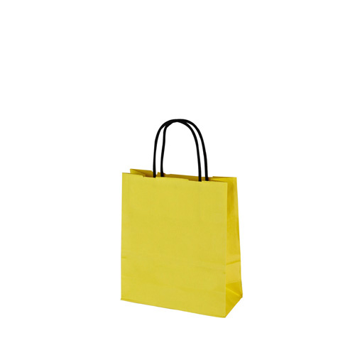 Cotton Handle Paper Carrier Bags 